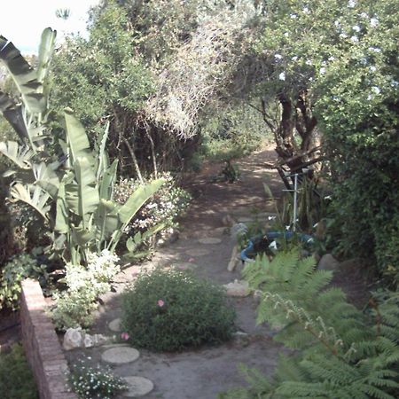 Dolphin View Guesthouse Jeffreys Bay Exterior photo