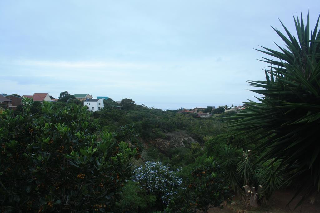 Dolphin View Guesthouse Jeffreys Bay Exterior photo